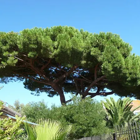 La Rescapade